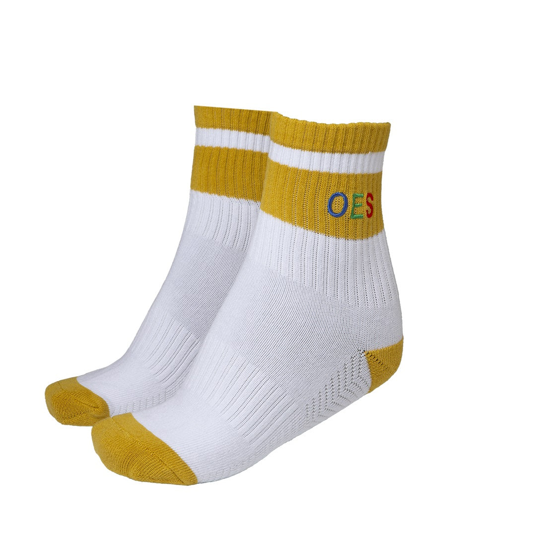 OES Ankle