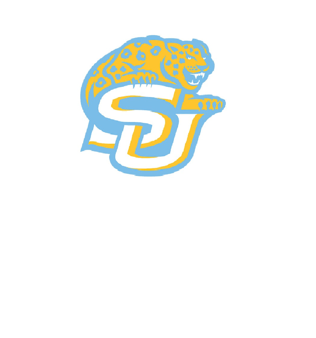 Southern University