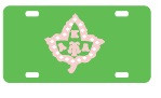 License Plate 1020