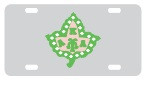 License Plate 1023