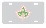 License Plate 1024