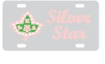 License Plate 1035